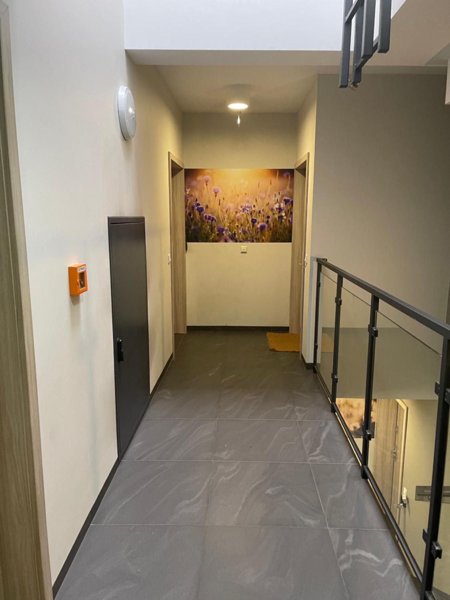 Sunflower Apartment Old Town 크라쿠프 외부 사진